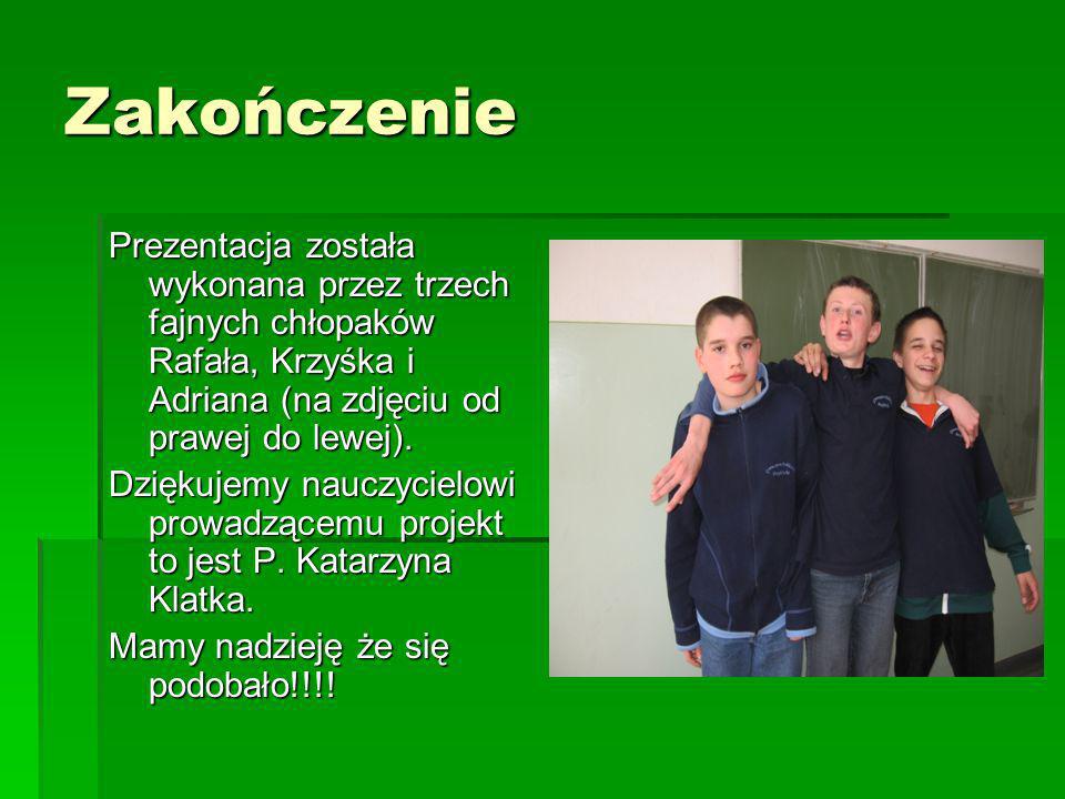 Zakończenie Prezentacja została wykonana przez trzech fajnych chłopaków Rafała, Krzyśka i Adriana (na zdjęciu od prawej do lewej).
