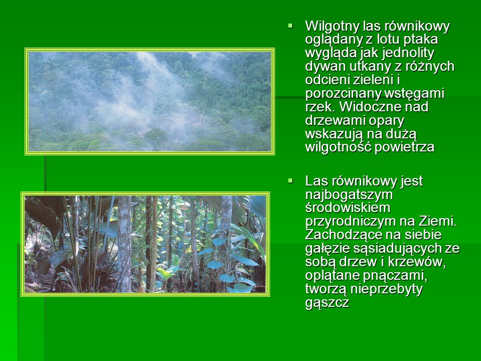 Wilgotny las równikowy oglądany z lotu ptaka wygląda jak jednolity dywan utkany z różnych odcieni zieleni i porozcinany wstęgami rzek. Widoczne nad drzewami opary wskazują na dużą wilgotność powietrza