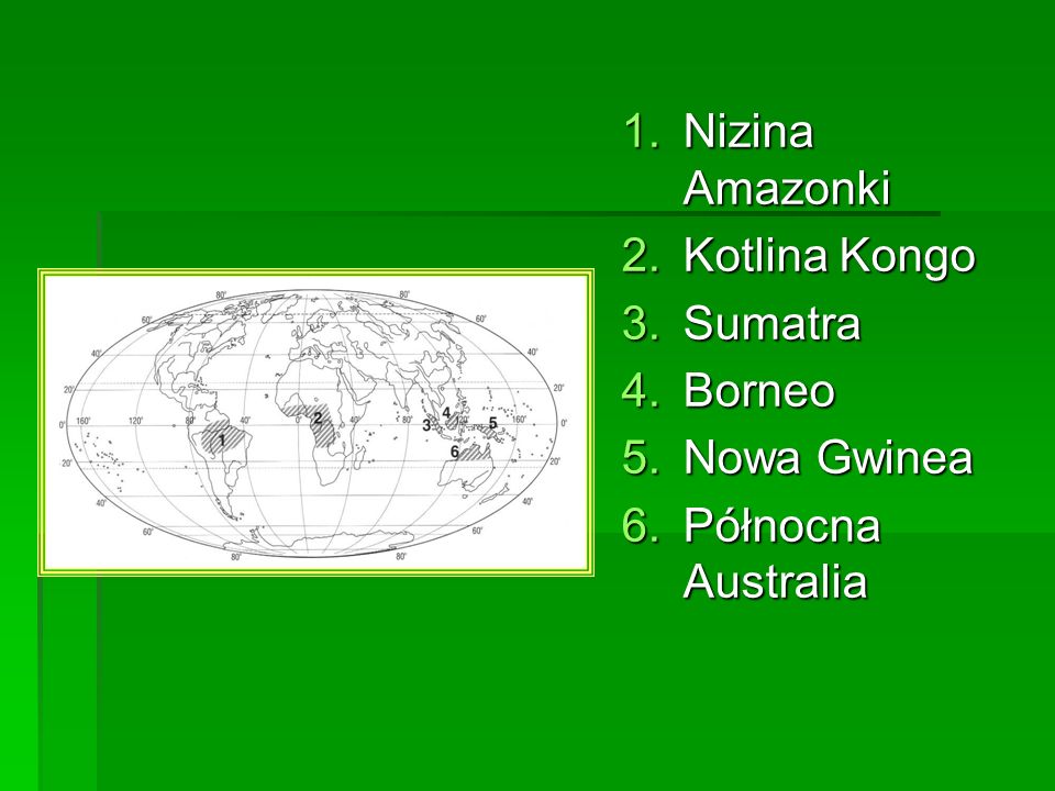 Nizina Amazonki Kotlina Kongo Sumatra Borneo Nowa Gwinea Północna Australia