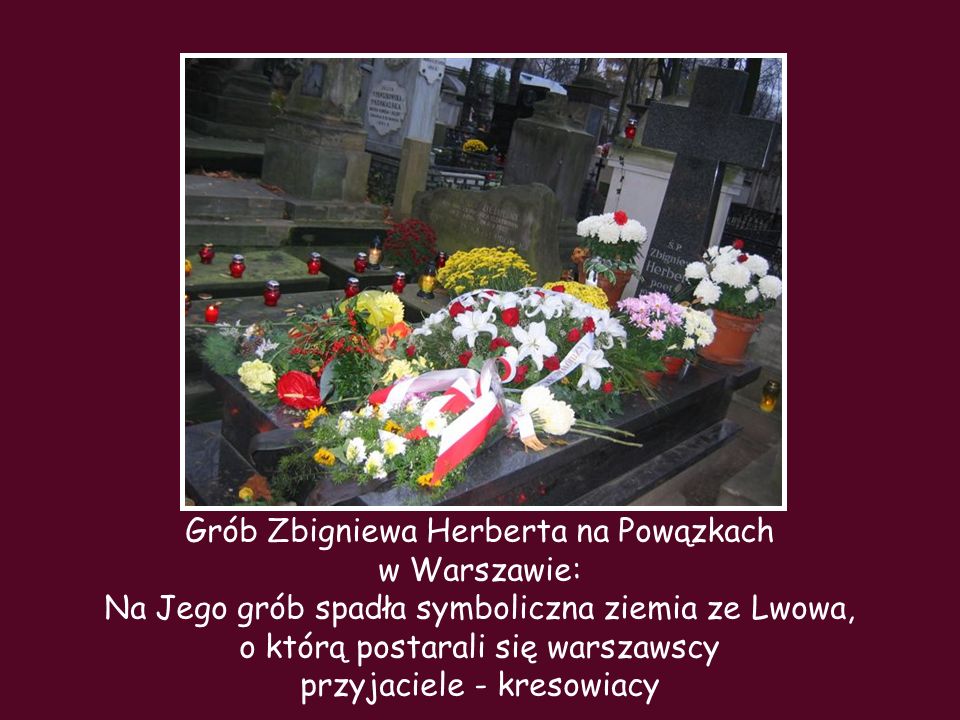 Grób Zbigniewa Herberta na Powązkach w Warszawie: Na Jego grób spadła symboliczna ziemia ze Lwowa, o którą postarali się warszawscy przyjaciele - kresowiacy