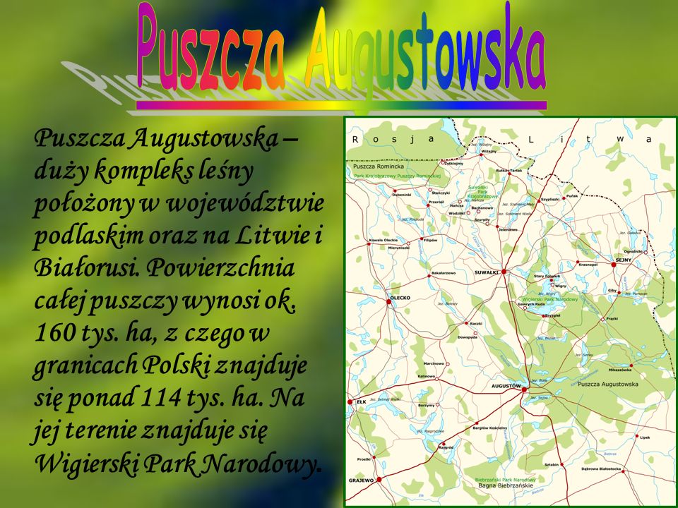 Puszcza Augustowska