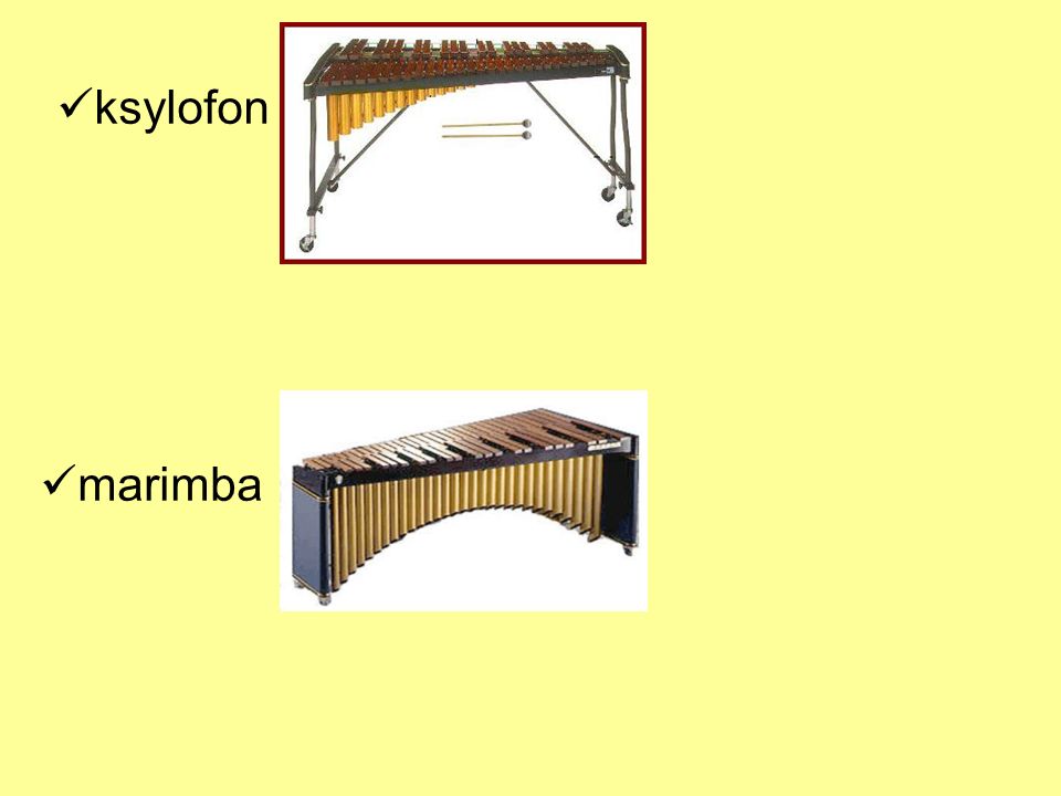 ksylofon marimba