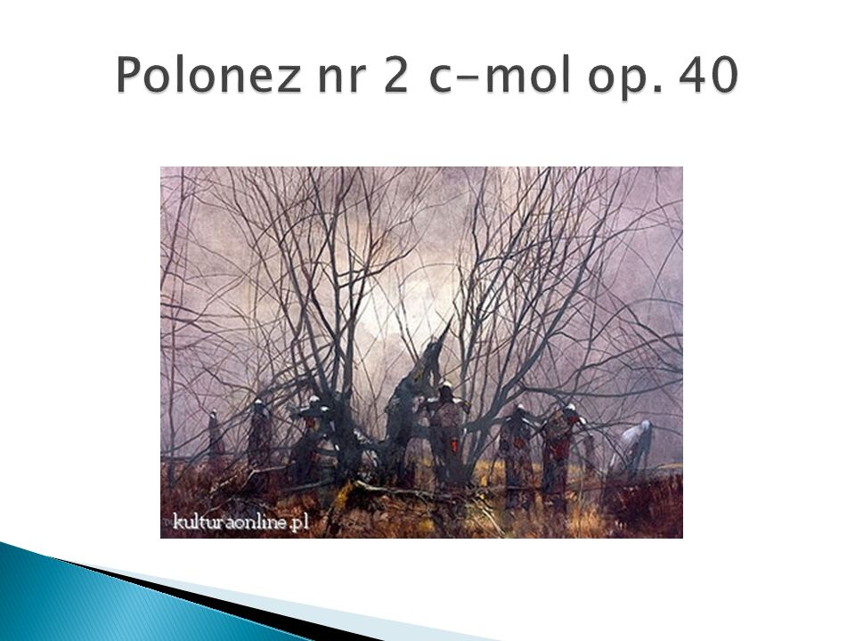 Polonez nr 2 c-mol op. 40