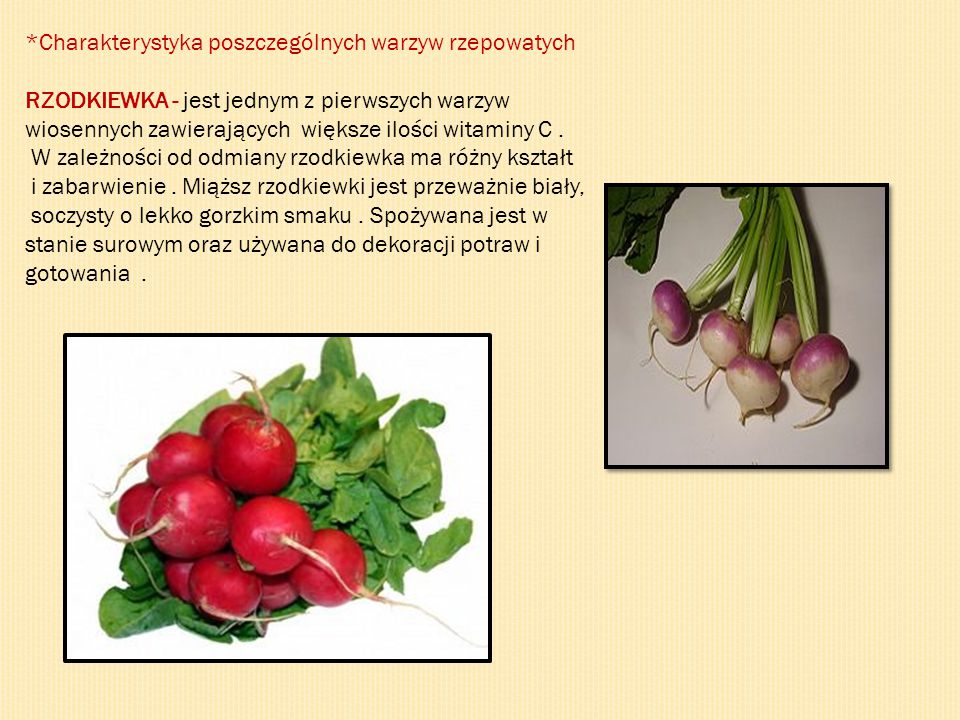 *Charakterystyka poszczególnych warzyw rzepowatych