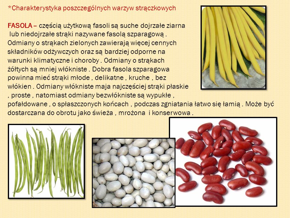 *Charakterystyka poszczególnych warzyw strączkowych
