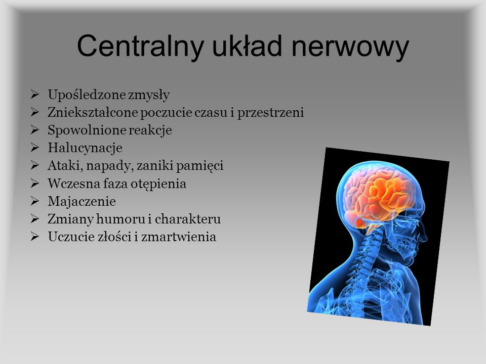 Centralny układ nerwowy