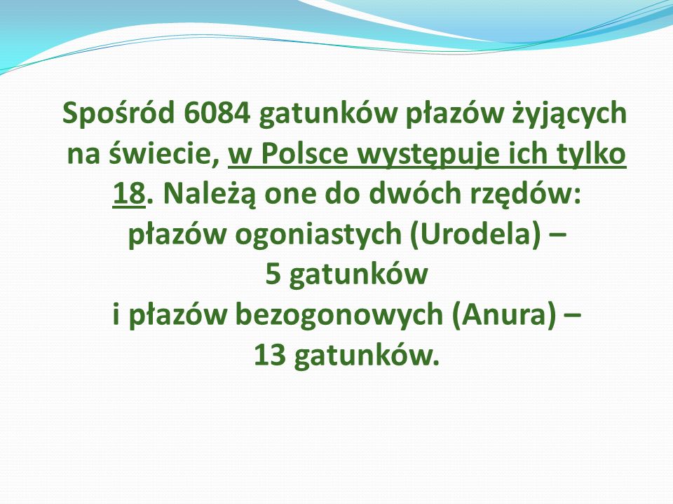 Spośród 6084 gatunków płazów żyjących na świecie, w Polsce występuje ich tylko 18.