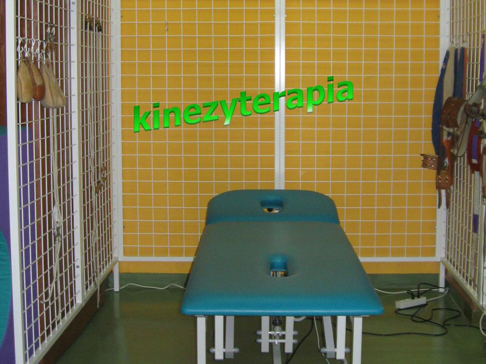 kinezyterapia kinezyterapia Kinezyterapia