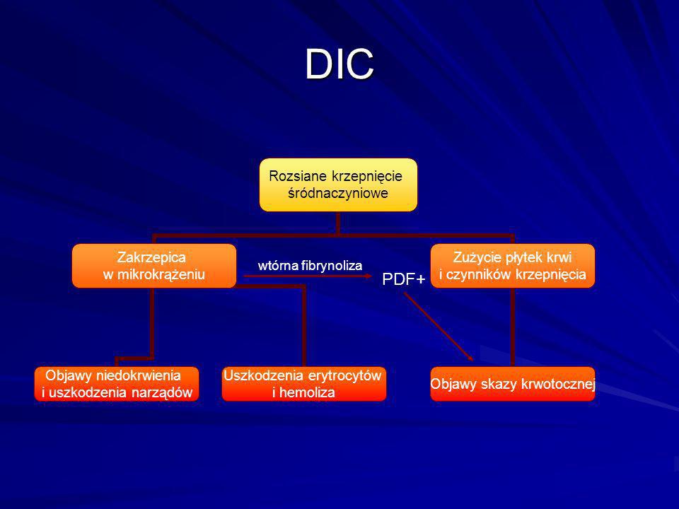 DIC wtórna fibrynoliza PDF+
