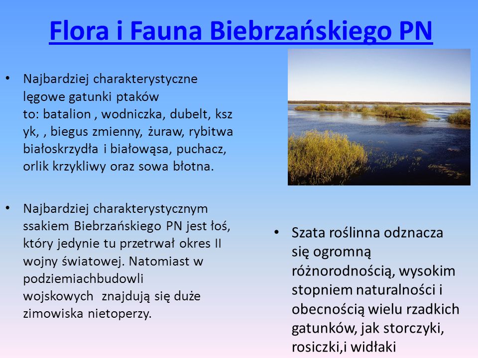 Flora i Fauna Biebrzańskiego PN