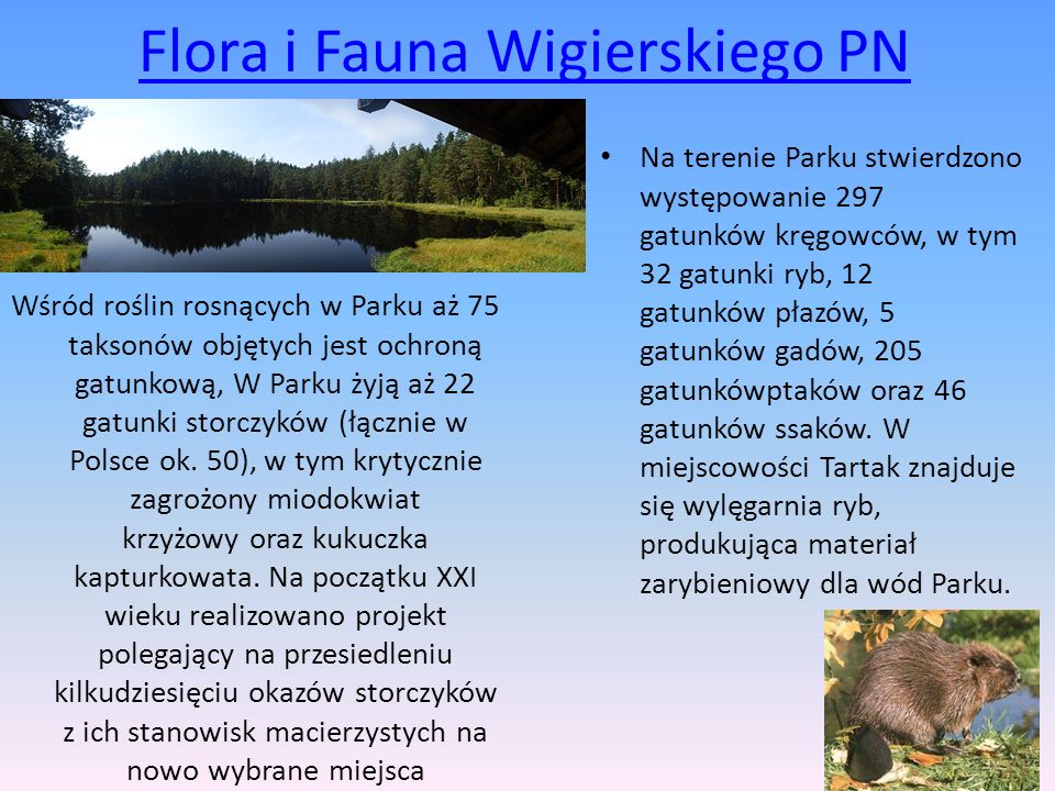 Flora i Fauna Wigierskiego PN