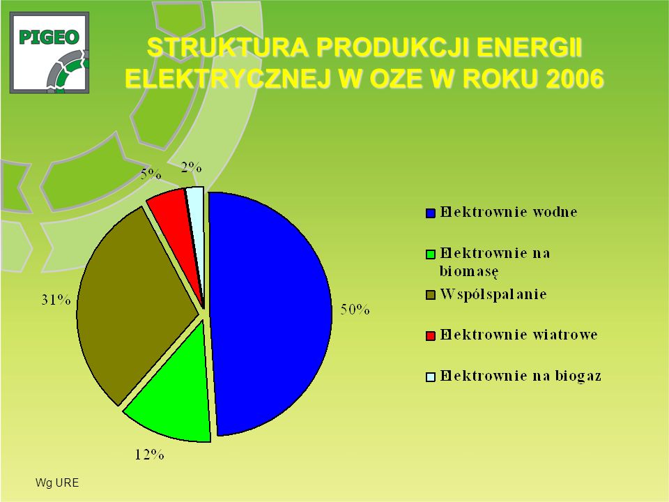 STRUKTURA PRODUKCJI ENERGII ELEKTRYCZNEJ W OZE W ROKU 2006