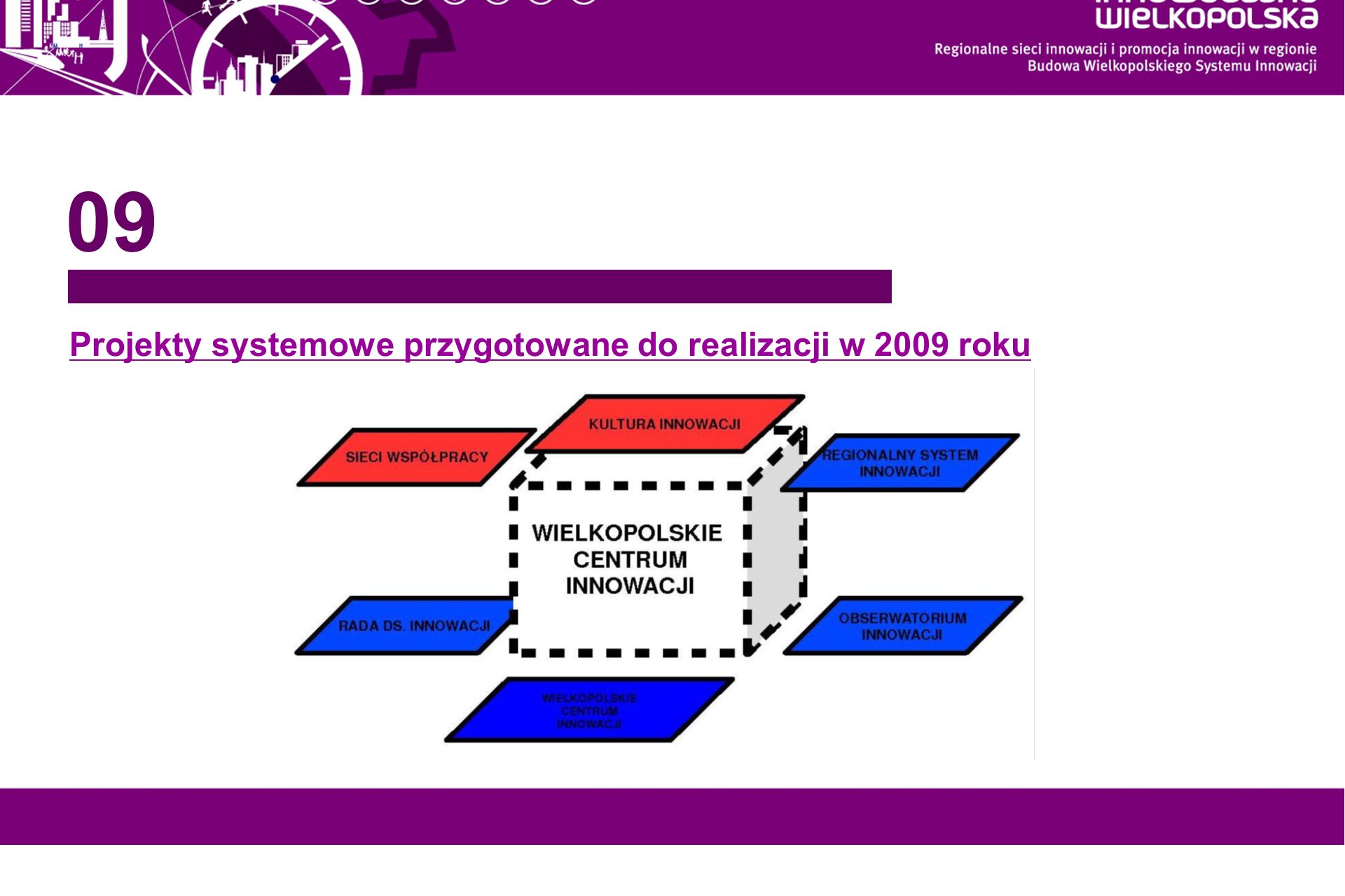Projekty systemowe przygotowane do realizacji w 2009 roku