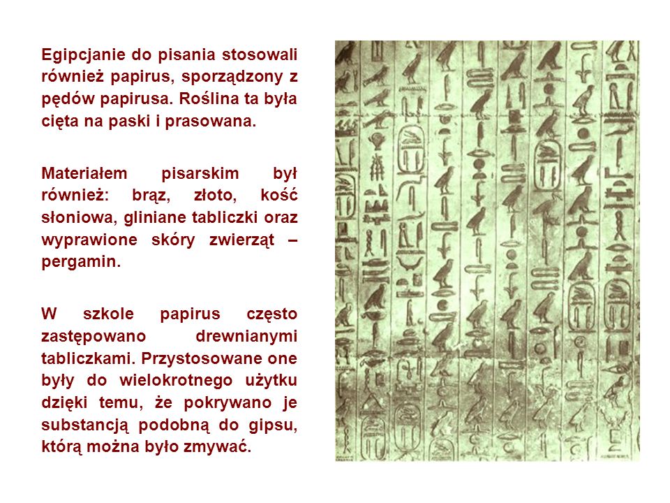 Egipcjanie do pisania stosowali również papirus, sporządzony z pędów papirusa. Roślina ta była cięta na paski i prasowana.