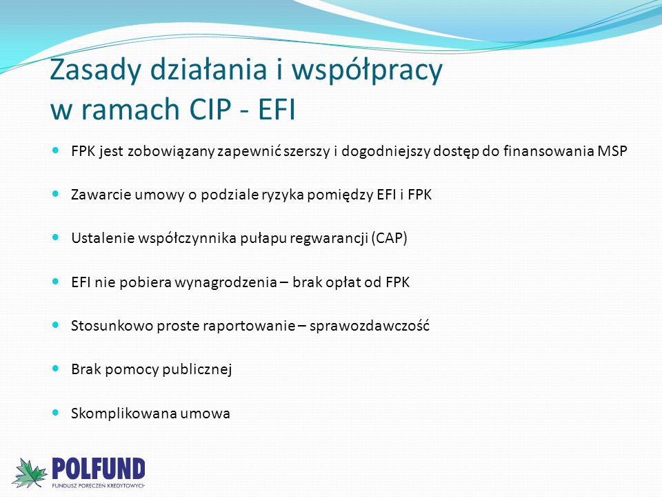 Zasady działania i współpracy w ramach CIP - EFI