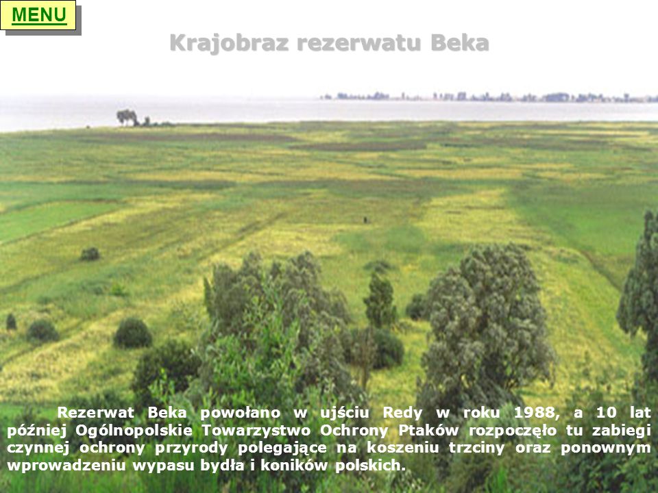 Krajobraz rezerwatu Beka