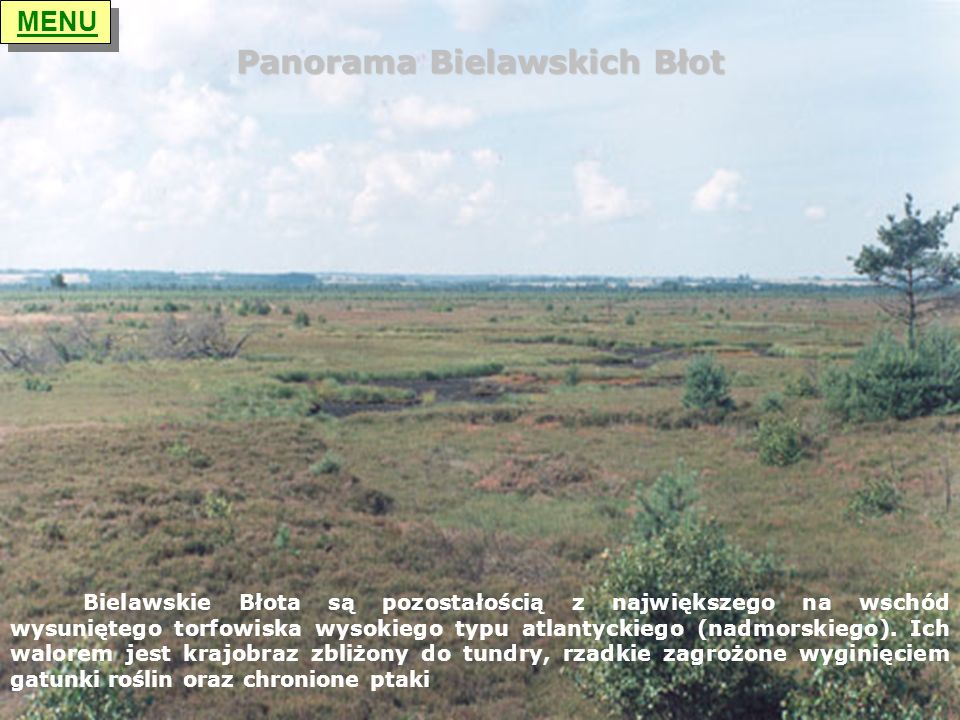 Panorama Bielawskich Błot