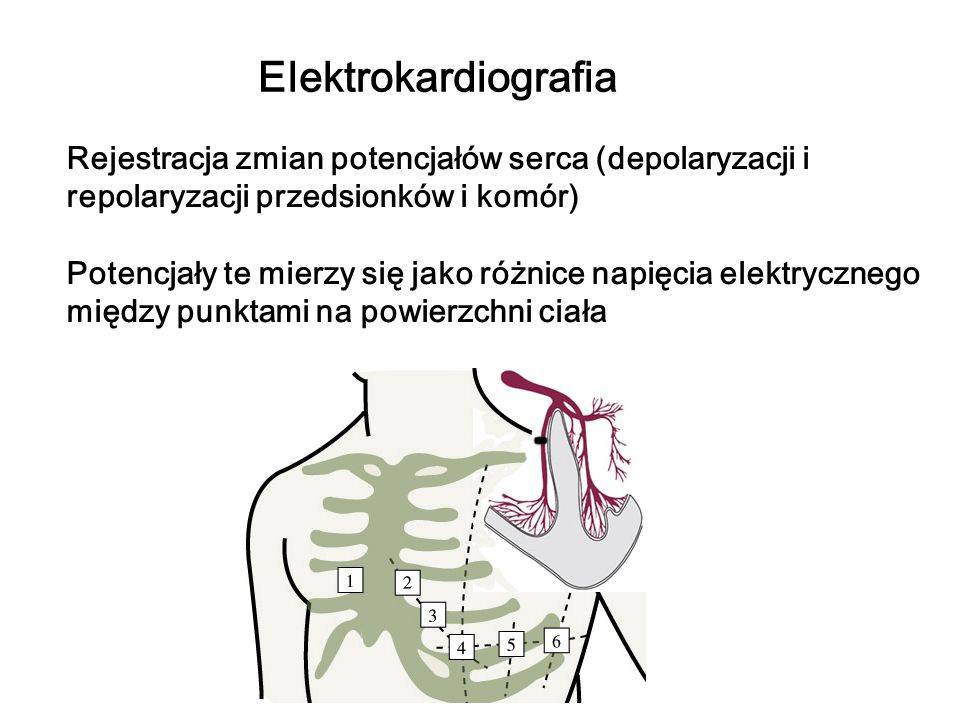 Elektrokardiografia Rejestracja zmian potencjałów serca (depolaryzacji i. repolaryzacji przedsionków i komór)
