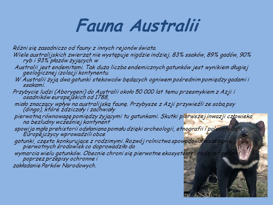 Fauna Australii