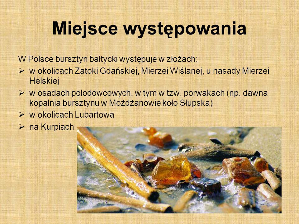 Miejsce występowania W Polsce bursztyn bałtycki występuje w złożach:
