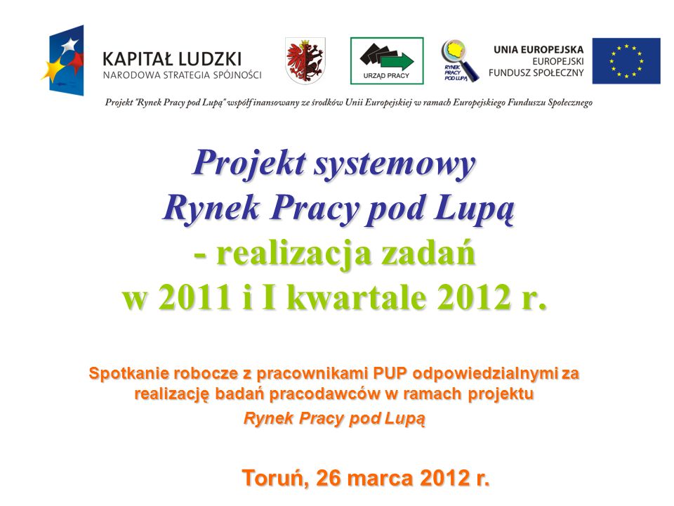 Projekt systemowy Rynek Pracy pod Lupą - realizacja zadań w 2011 i I kwartale 2012 r.