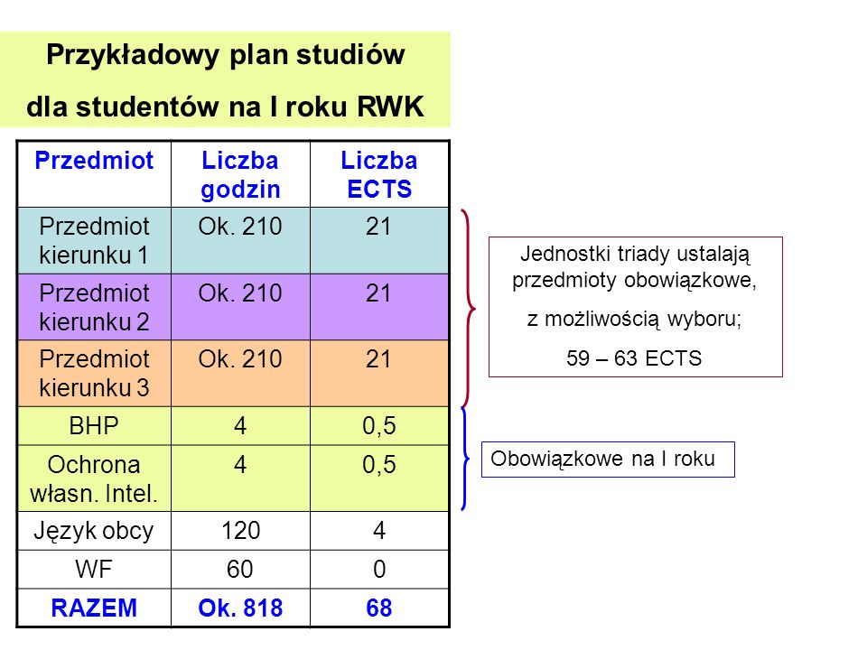 Przykładowy plan studiów dla studentów na I roku RWK