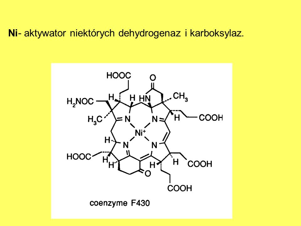 Ni- aktywator niektórych dehydrogenaz i karboksylaz.