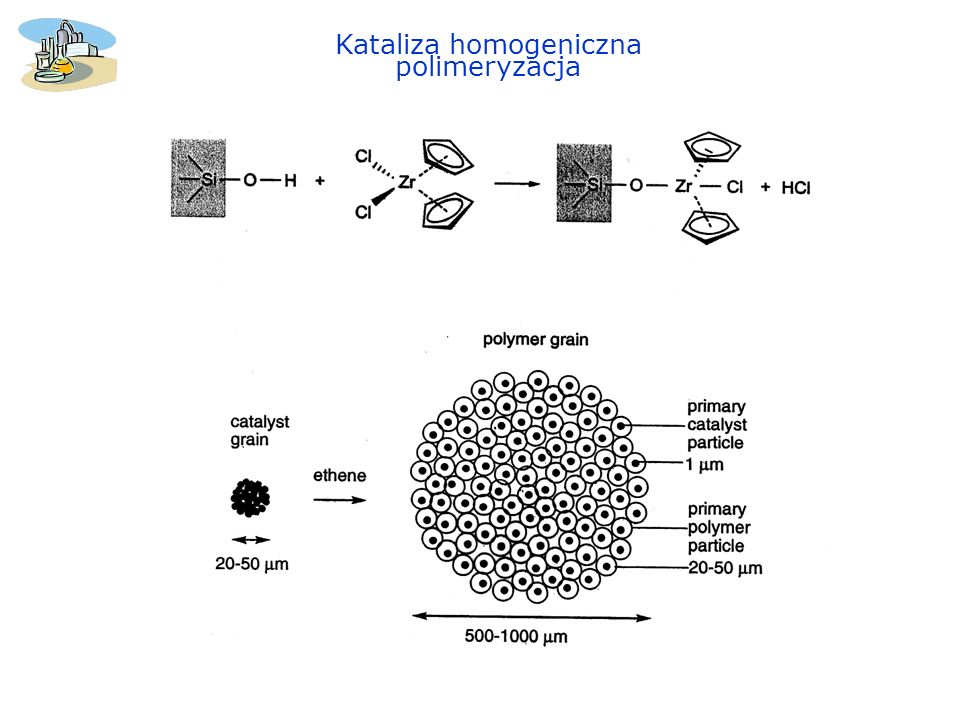 Kataliza homogeniczna polimeryzacja
