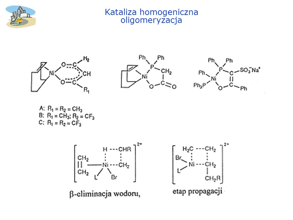 Kataliza homogeniczna oligomeryzacja