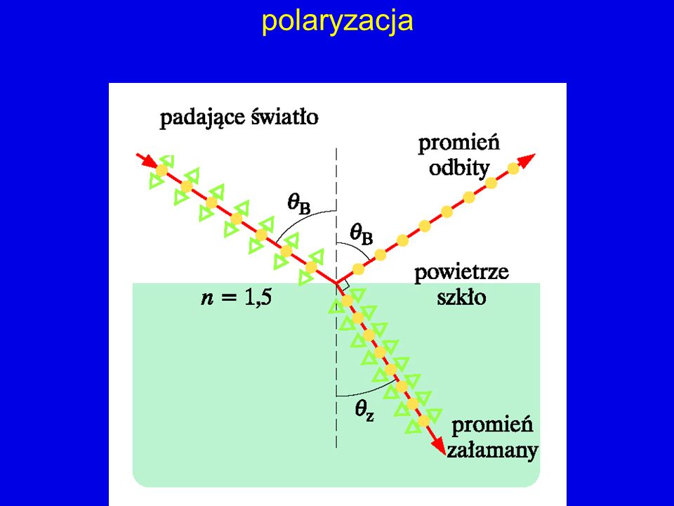 polaryzacja
