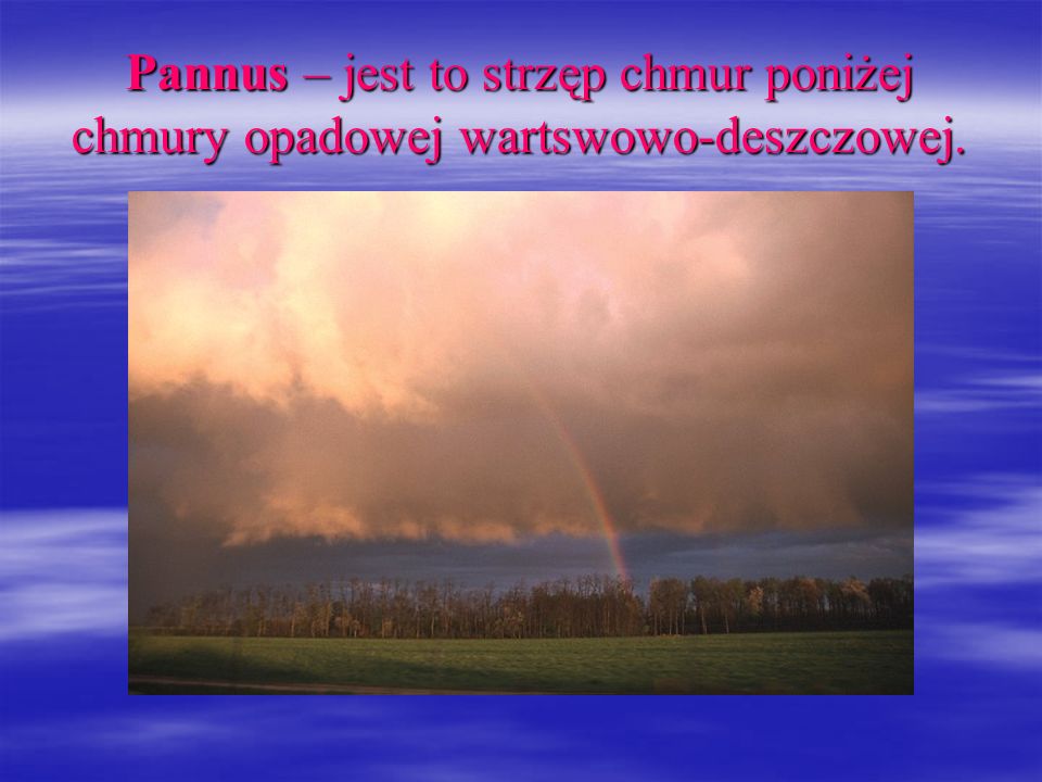 Pannus – jest to strzęp chmur poniżej chmury opadowej wartswowo-deszczowej.