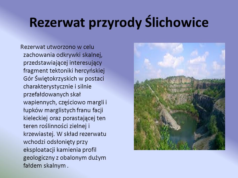 Rezerwat przyrody Ślichowice