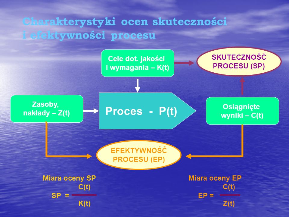 Charakterystyki ocen skuteczności i efektywności procesu