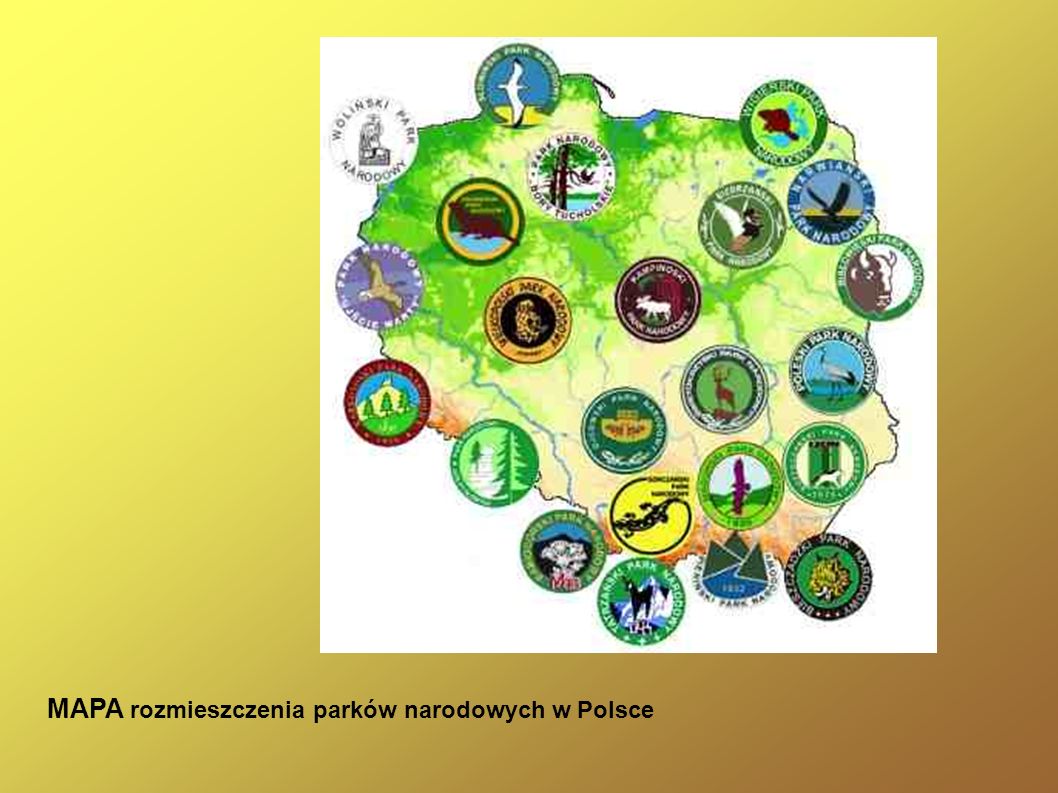 MAPA rozmieszczenia parków narodowych w Polsce