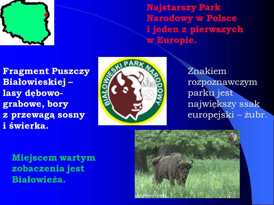 Najstarszy Park Narodowy w Polsce i jeden z pierwszych w Europie.