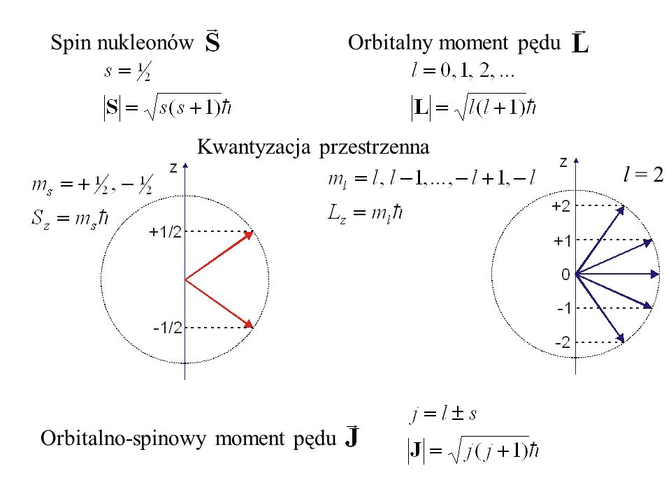 Spin nukleonów Orbitalny moment pędu Kwantyzacja przestrzenna l = 2 Orbitalno-spinowy moment pędu