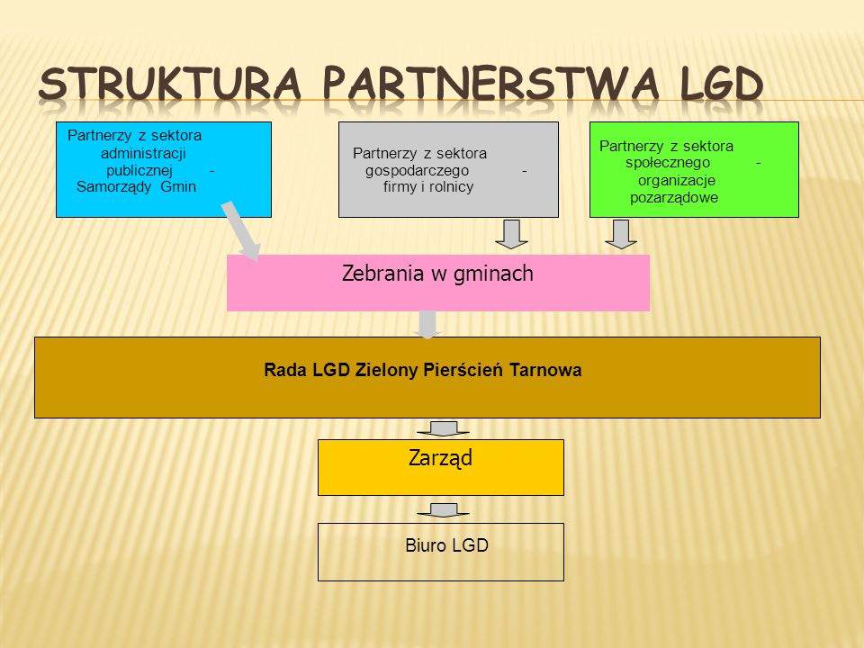 Struktura Partnerstwa LGD