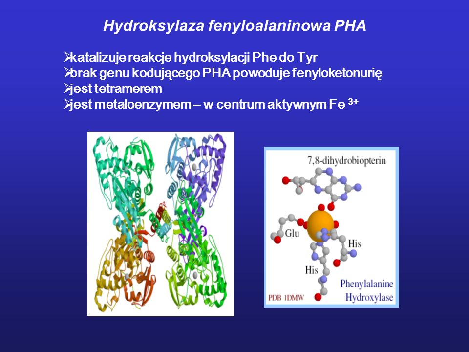 Hydroksylaza fenyloalaninowa PHA