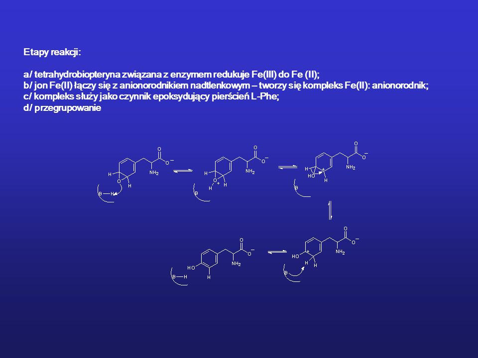 Etapy reakcji: a/ tetrahydrobiopteryna związana z enzymem redukuje Fe(III) do Fe (II);