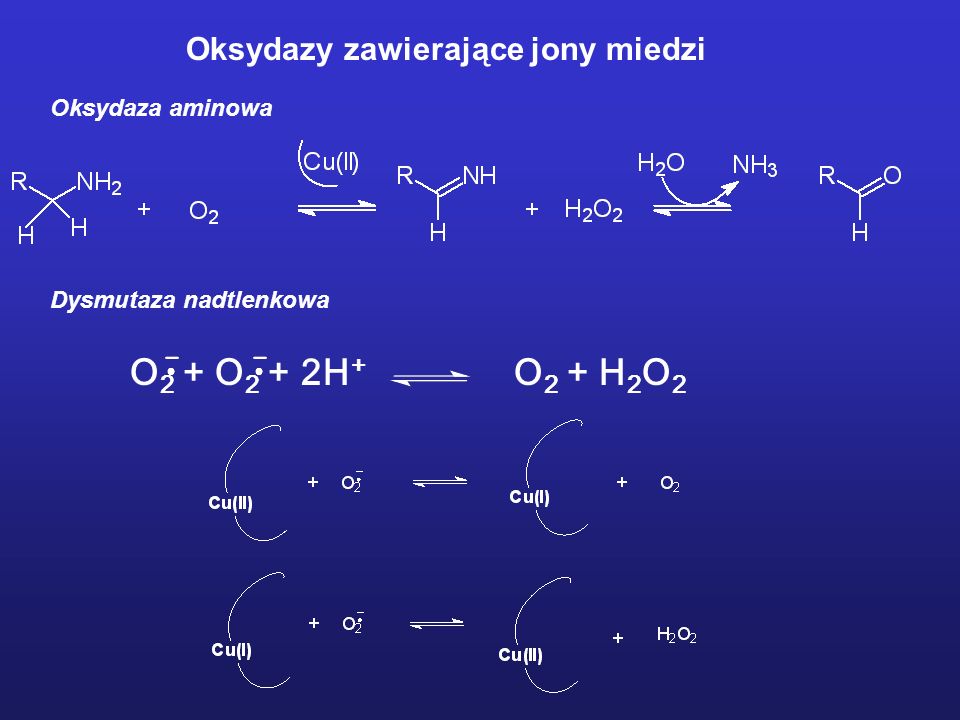 O2 + O2 + 2H+ O2 + H2O2 Oksydazy zawierające jony miedzi