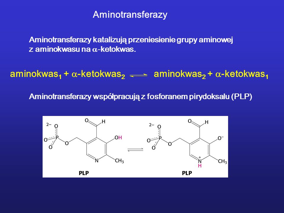 aminokwas1 + -ketokwas2 aminokwas2 + -ketokwas1
