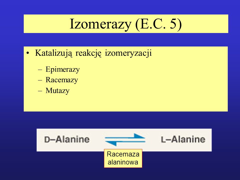 Izomerazy (E.C. 5) Katalizują reakcję izomeryzacji Epimerazy Racemazy