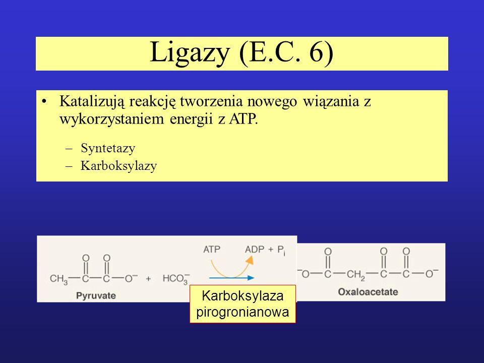 Karboksylaza pirogronianowa