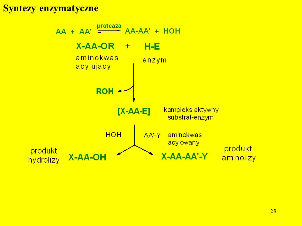 Syntezy enzymatyczne