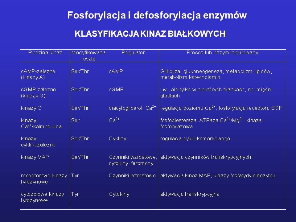 Fosforylacja i defosforylacja enzymów