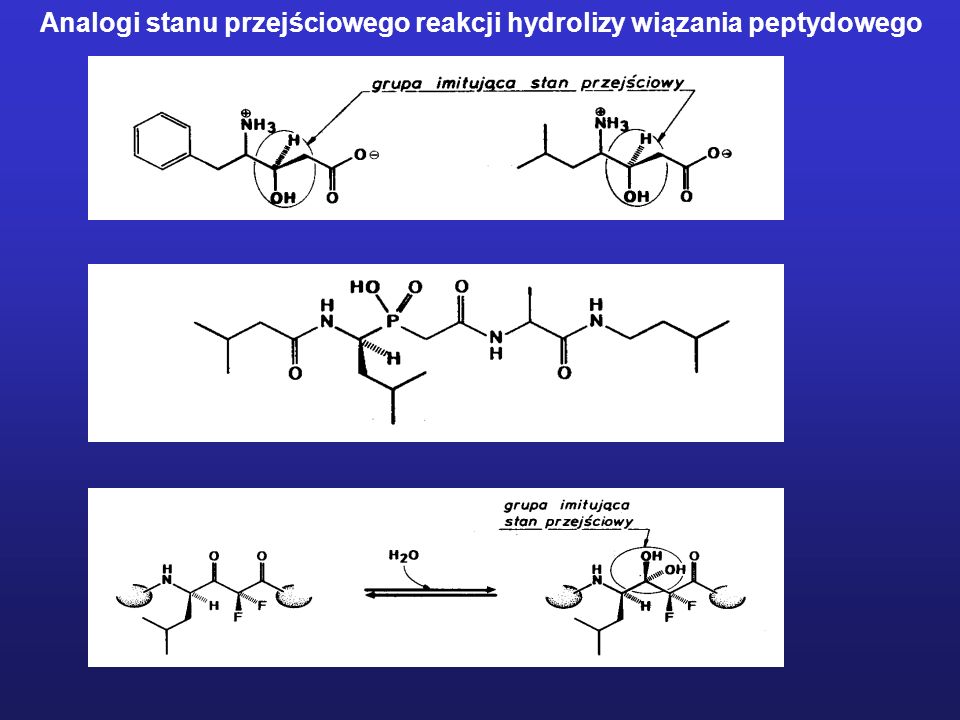 Analogi stanu przejściowego reakcji hydrolizy wiązania peptydowego