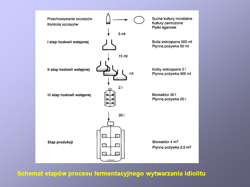Schemat etapów procesu fermentacyjnego wytwarzania idiolitu