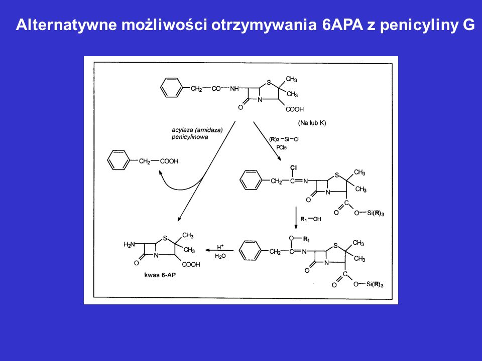 Alternatywne możliwości otrzymywania 6APA z penicyliny G