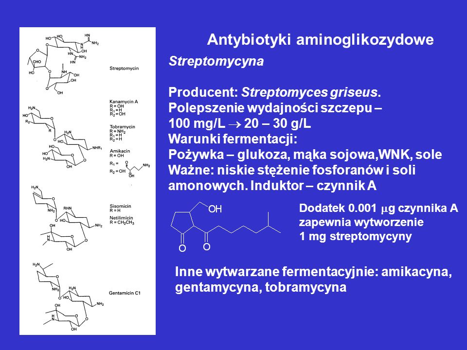 Antybiotyki aminoglikozydowe