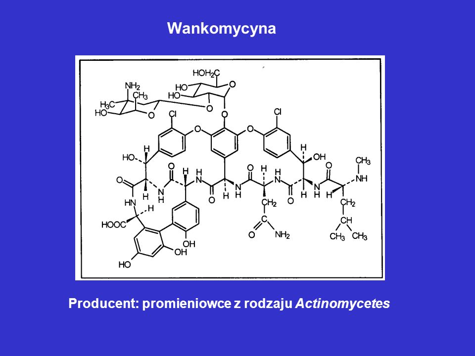 Wankomycyna Producent: promieniowce z rodzaju Actinomycetes